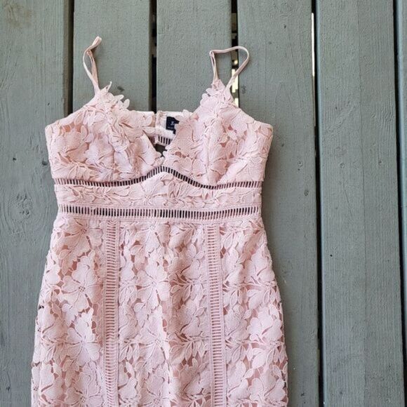 Bardot Botanica Lace Cutout‎ Midi Dress Floral Lace Sheath Blush Pink 6 Cocktail - Picture 6 of 9
